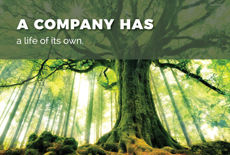 A company has a life of its own.