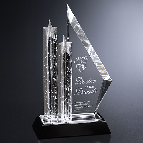 Vega Award Vega Award