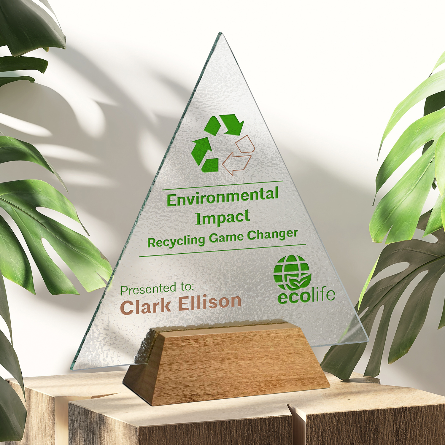 Image of Crystal-D Rio Triangle Award